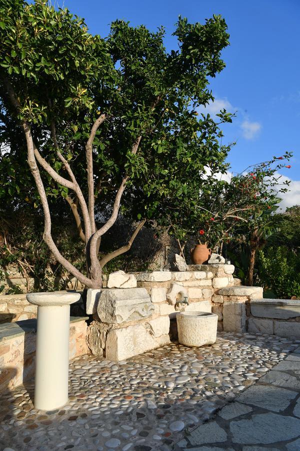 Villa Callista Parikia  Bagian luar foto